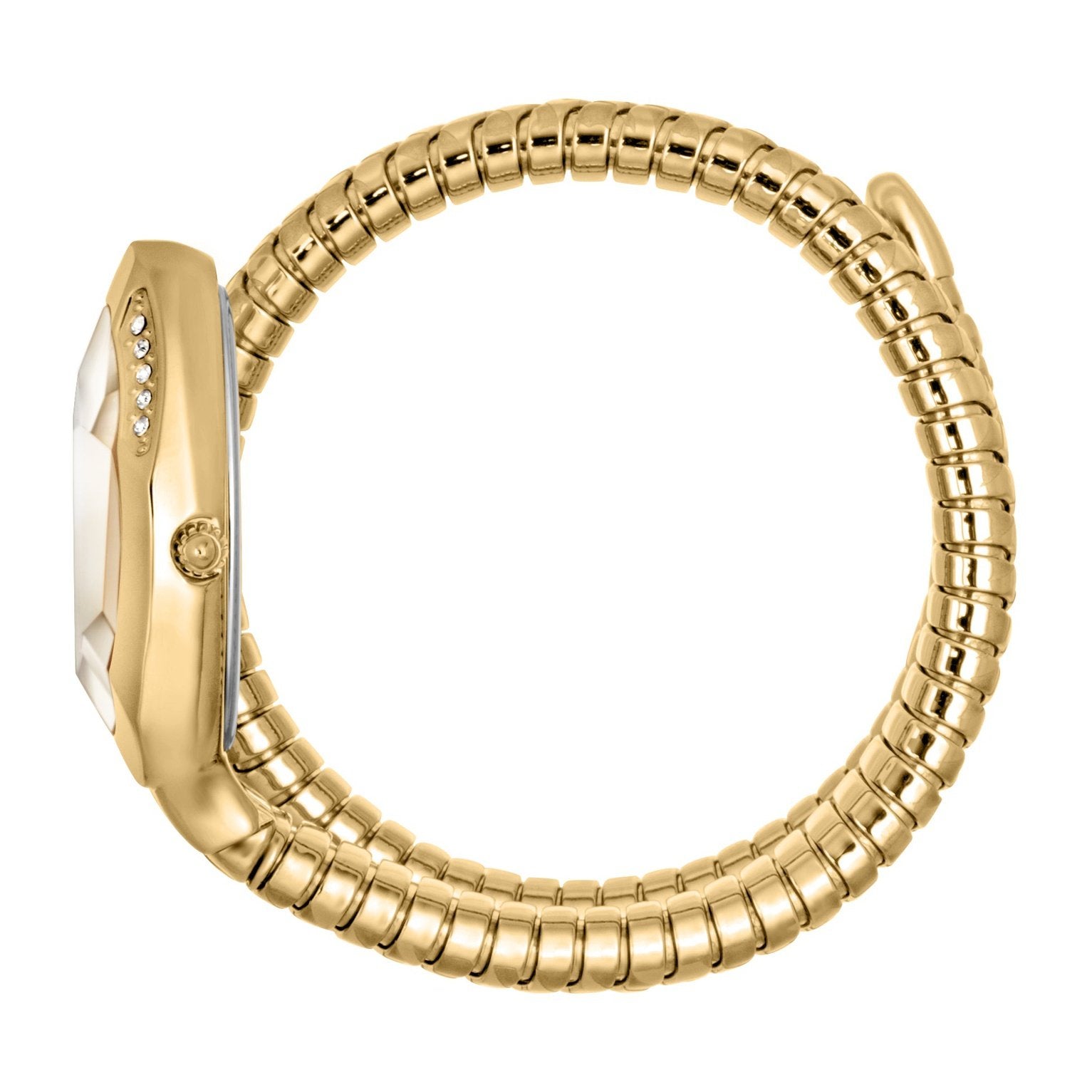 Ladies Just Glam Evo 8 Watch JC1L225M0035 Just Cavalli
