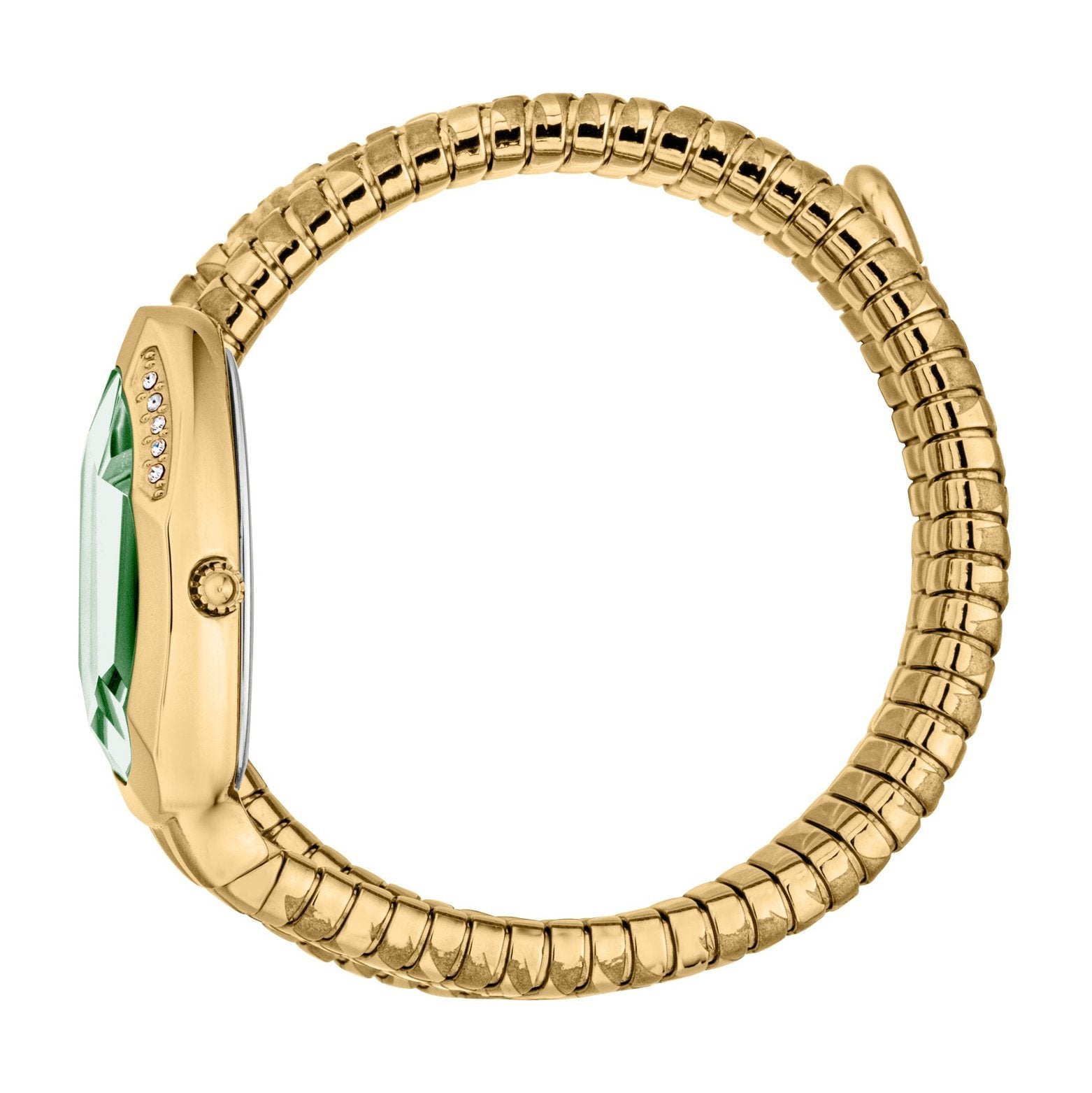 Ladies Serpente Taglio Watch JC1L226M0035 Just Cavalli