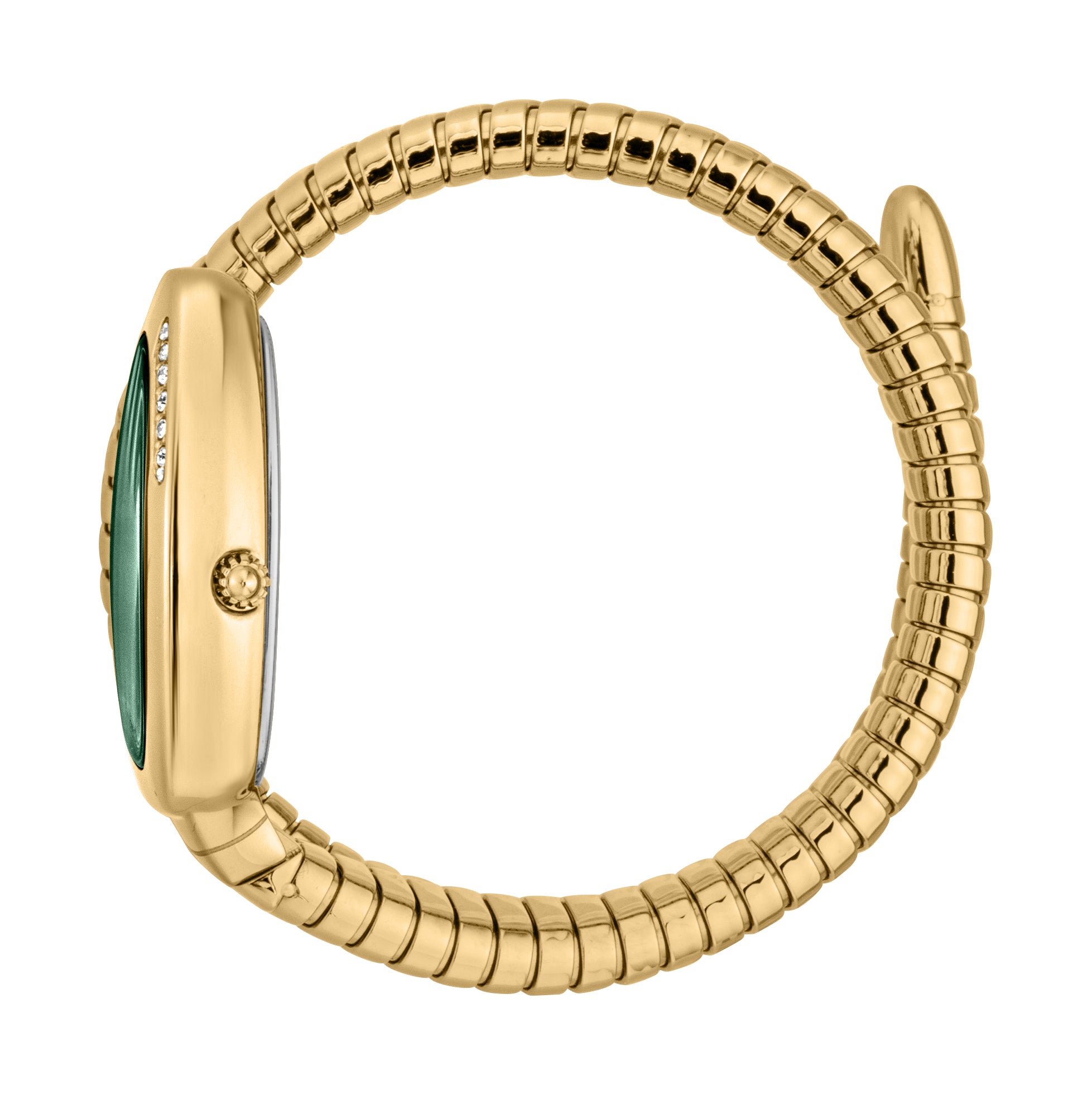 Ladies Serpente Logo Watch JC1L227M0045 Just Cavalli