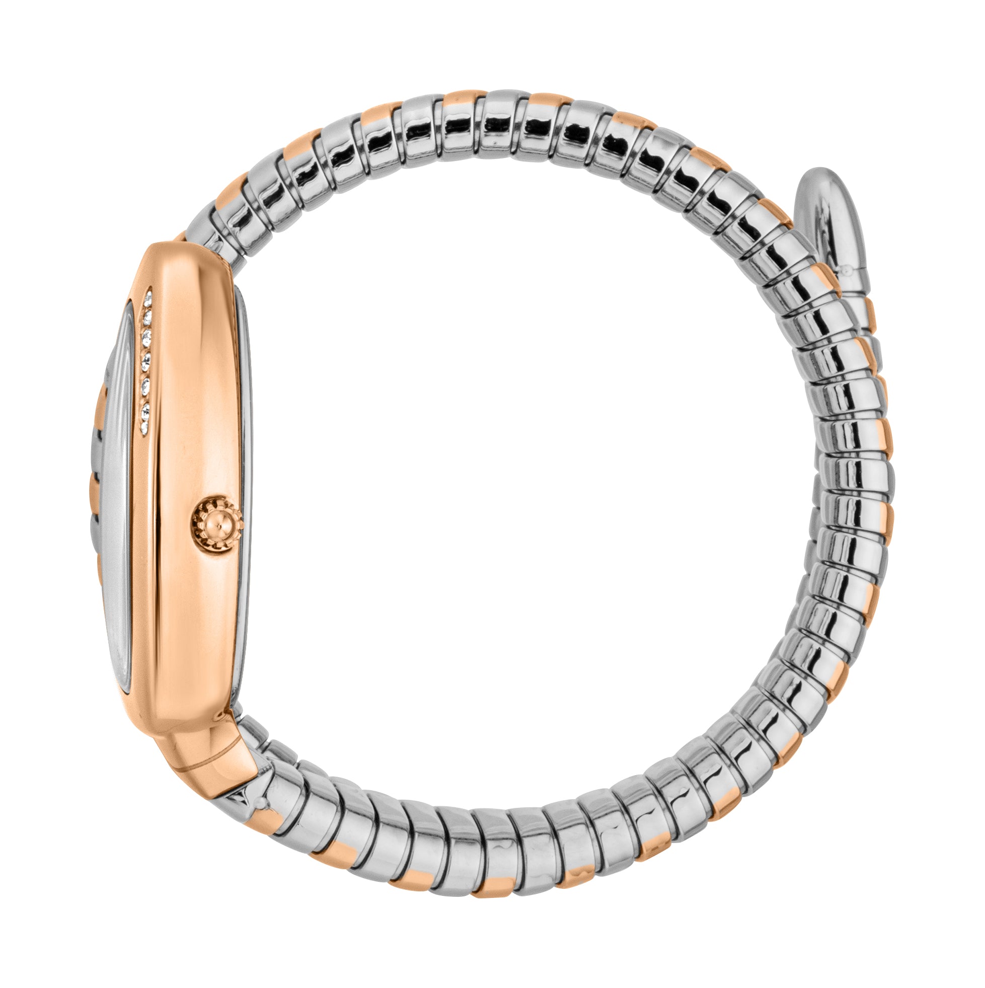 Ladies Serpente Logo Watch JC1L227M0075 Just Cavalli