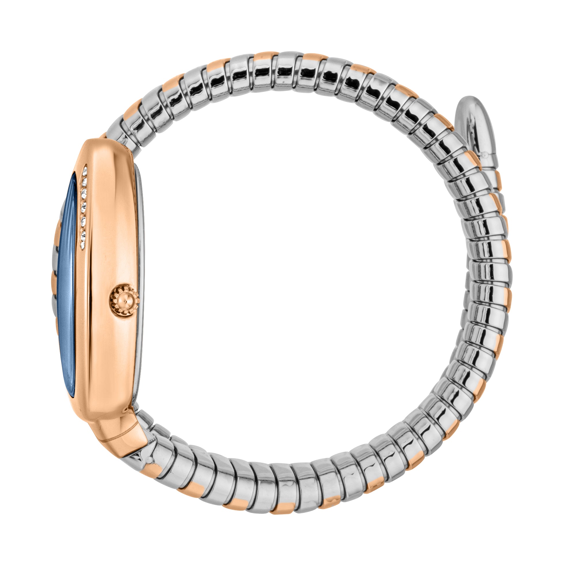 Ladies Serpente Logo Watch JC1L227M0085 Just Cavalli