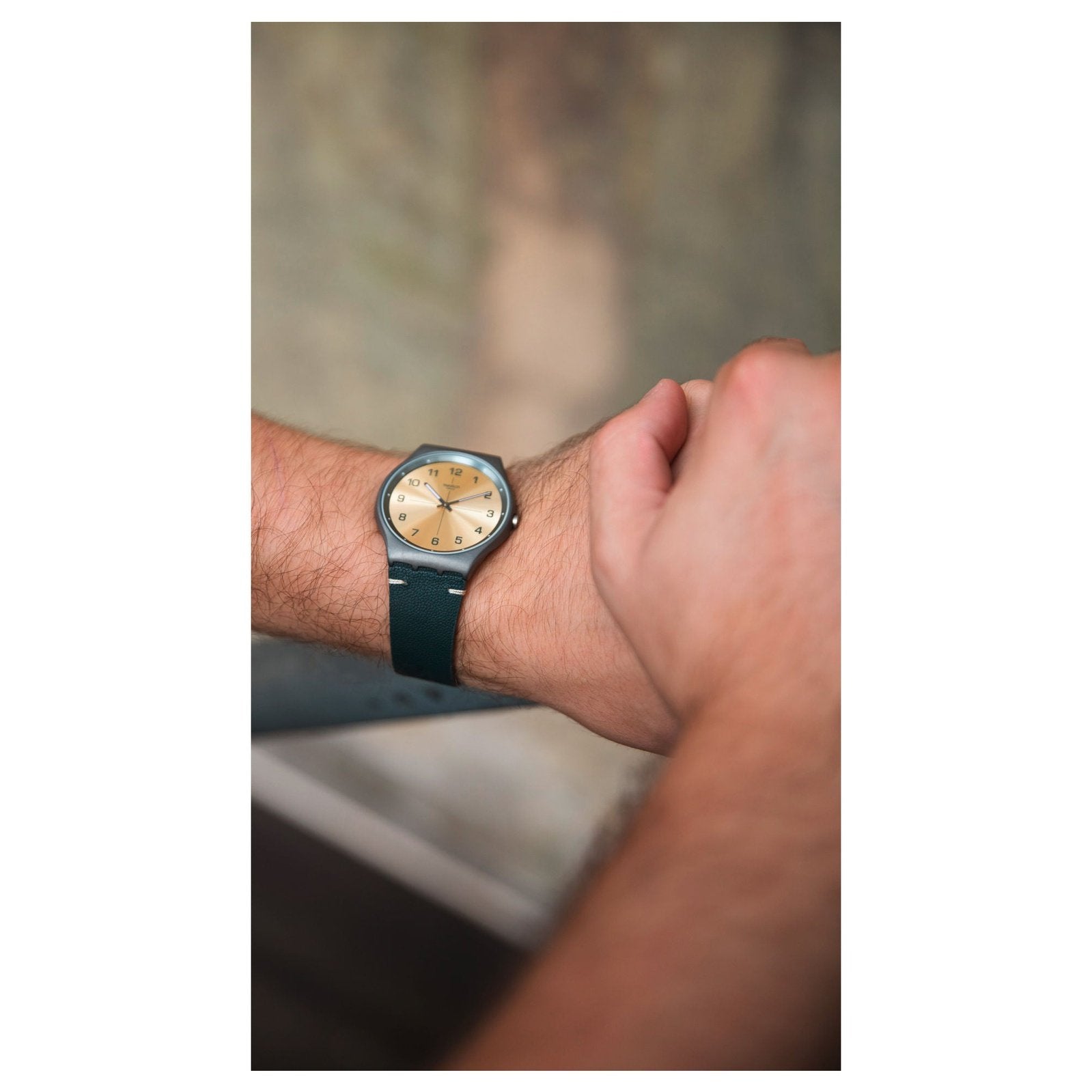 TROVALIZED Swatch