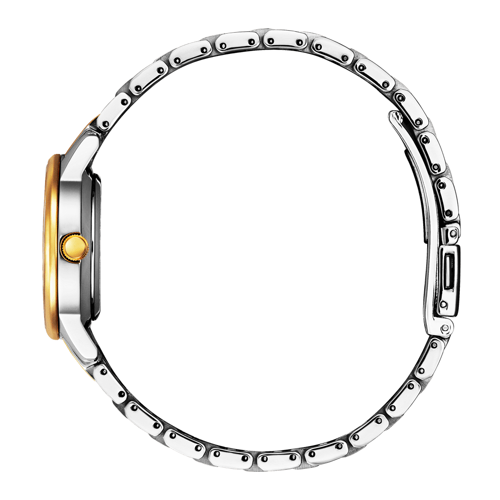 Ladies Eco-Drive Watch EW2594-84Y Citizen